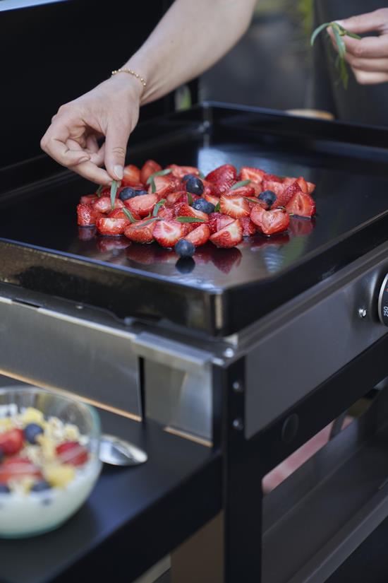 La Plancha Francaise Electrique 150 Duo Edition (Couvercle, Chariot, Porte Épices Et Rideau Inclus)