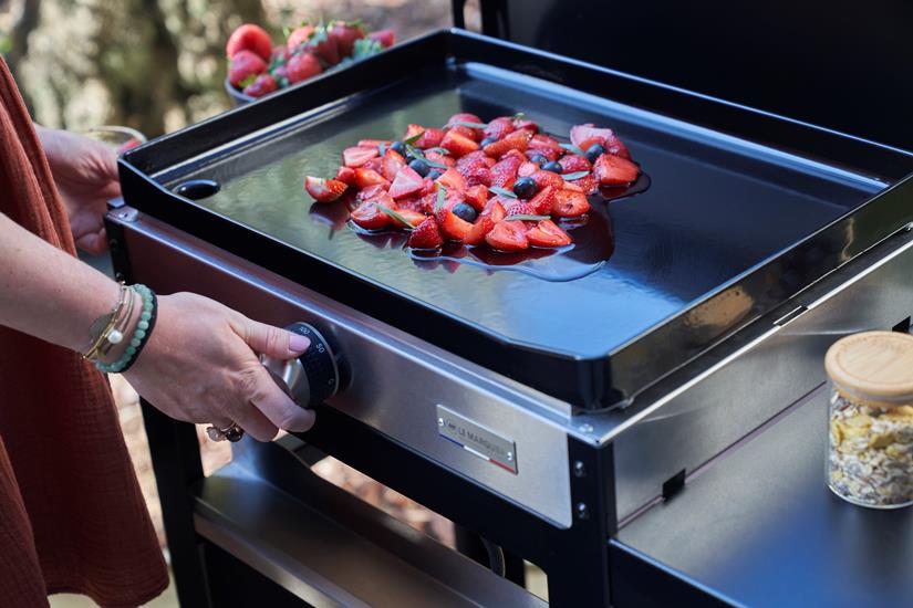 La Plancha Francaise Electrique 150 Duo-Ausführung (inkl. Deckel, Wagen, Gewürzhalter und Vorhang)